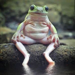 Meet your Posher, Kelley